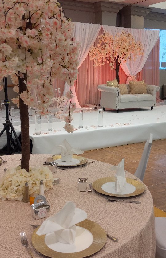 Congratulations to our latest couple Mai & Fahad. Your love will continue to blossom and thanks for trusting us with your wedding decor. 🎉🎉💕

#cherryblossom #cherryblossomtree #hiltonrichardson
#dallas #deco #deloyevents #event decor #weddingflorist #weddingflowers #dfw #dallasproposal #dallasengagement #engagement #shesaidyes #shesaidyes#dallasluxuryweddingplanner#dallasweddingrentals #dallasevents #dallasweddingvendors #dallasweddingvenues #dallasluxuryweddings #dallasbride #dallaslavishweddingdecor #dallaspartyrentals #dallascelebrityweddings #blackbrides #dallasflorist #dallasweddingvendors #dallaspartyrentals #dallaslavishweddingdecor